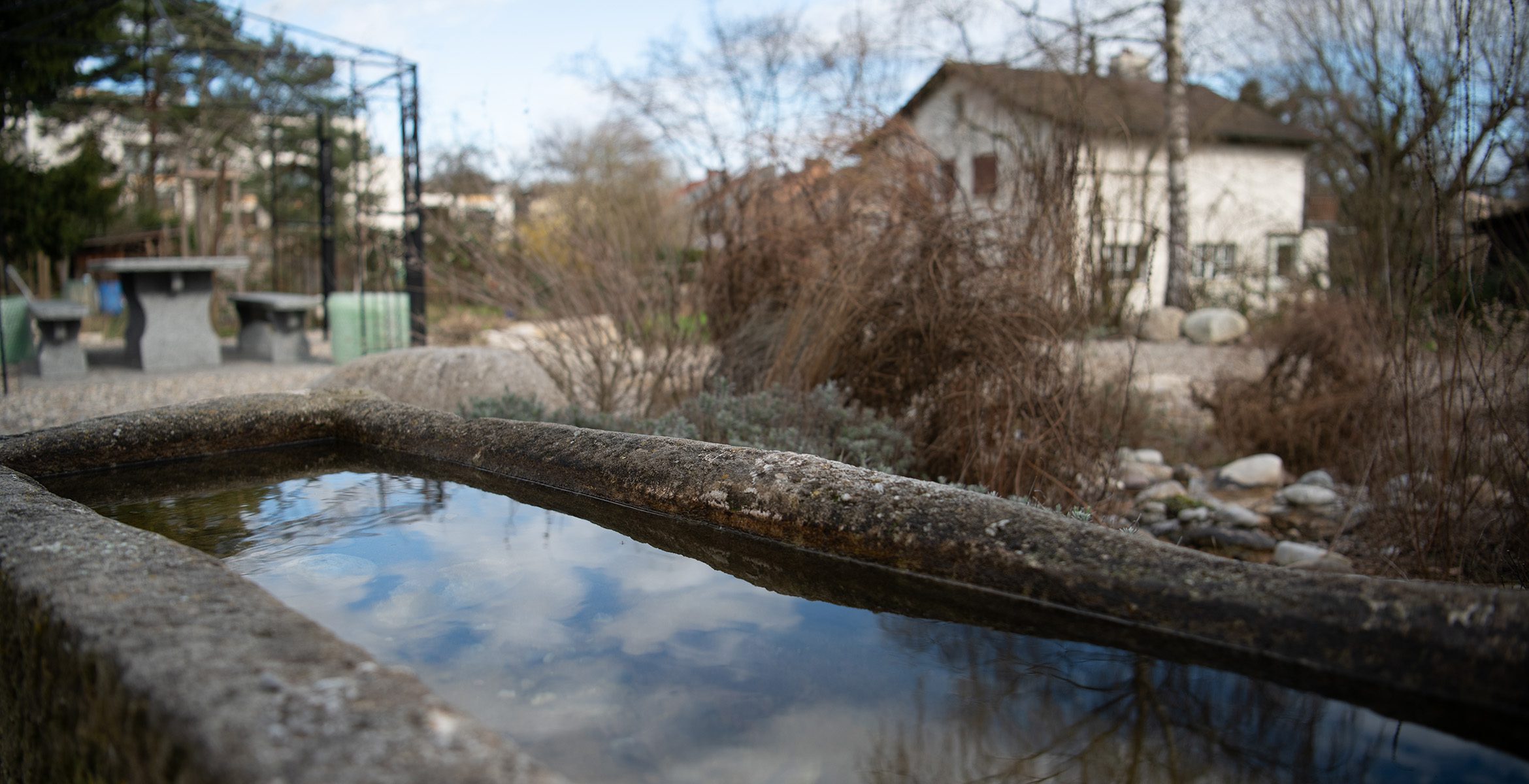 Obstgarten_0188