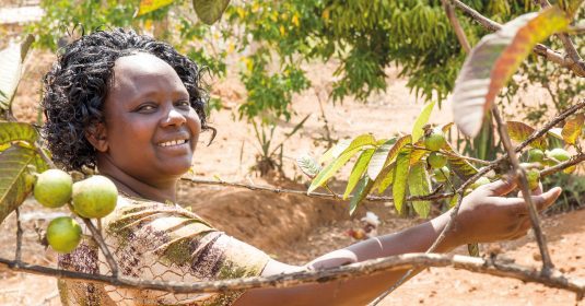 Frau neben einem Guavenbaum. Heilsarmee Entwicklungszusammenarbeit