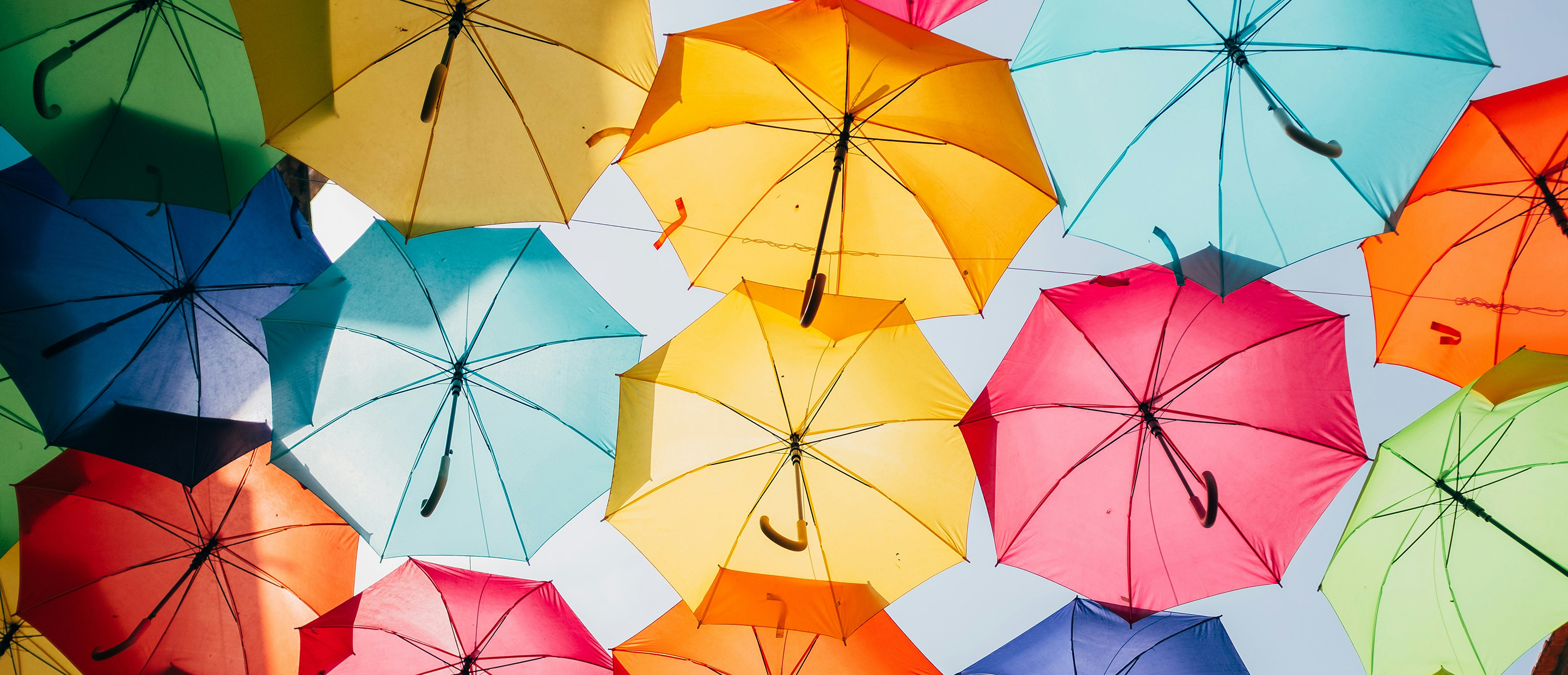 ricardo-resende-PqqJ340jrow-unsplash